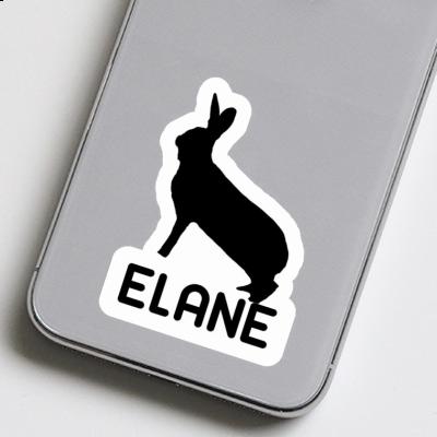 Autocollant Lapin Elane Laptop Image