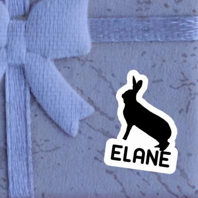 Autocollant Lapin Elane Image