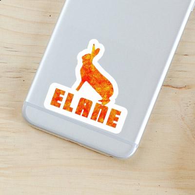 Rabbit Sticker Elane Laptop Image