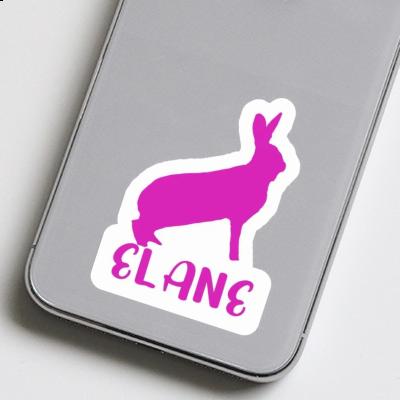 Sticker Hase Elane Gift package Image