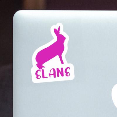 Elane Autocollant Lapin Gift package Image