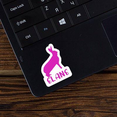 Sticker Hase Elane Gift package Image