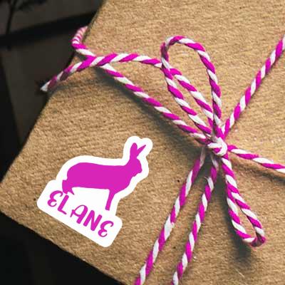 Sticker Hase Elane Gift package Image