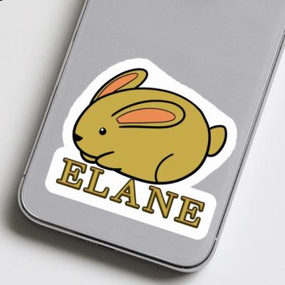 Sticker Elane Rabbit Notebook Image