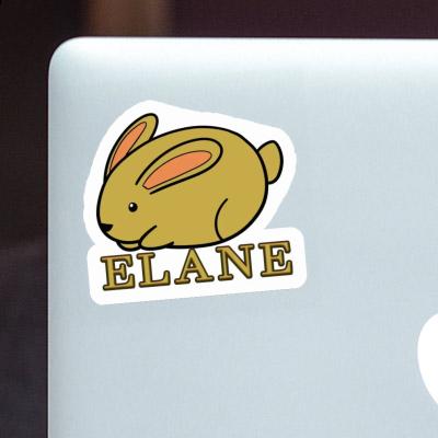 Sticker Elane Rabbit Gift package Image