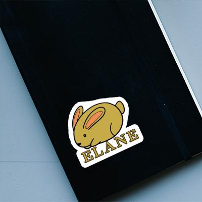 Sticker Elane Rabbit Notebook Image