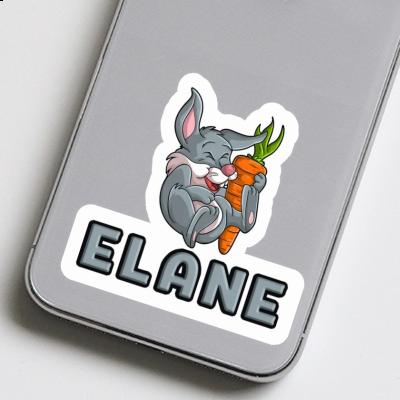 Rabbits Sticker Elane Gift package Image