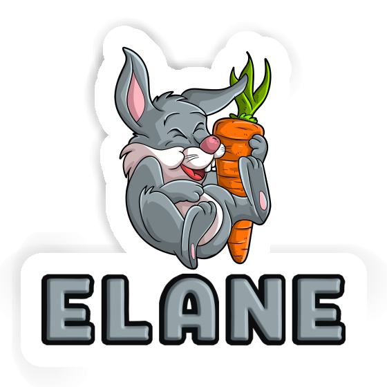 Rabbits Sticker Elane Laptop Image