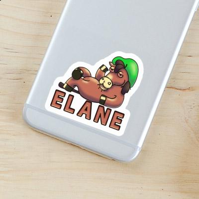 Horse Sticker Elane Gift package Image