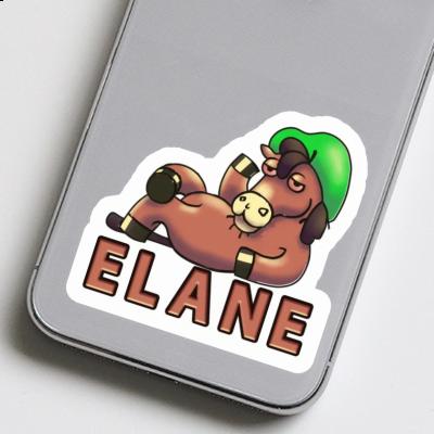 Horse Sticker Elane Gift package Image