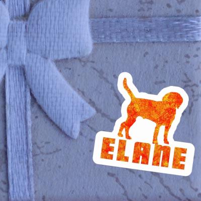 Dog Sticker Elane Gift package Image