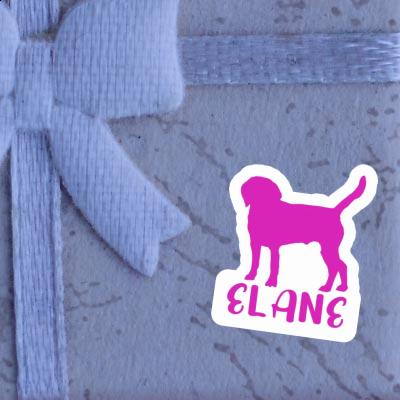 Autocollant Elane Chien Gift package Image