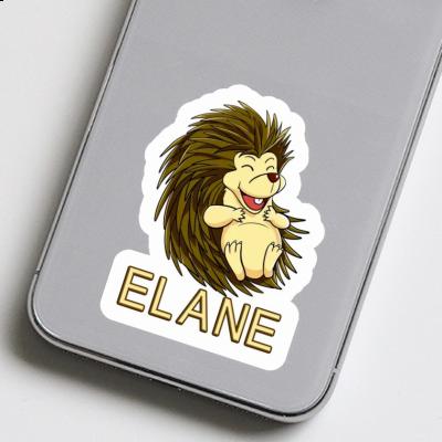 Sticker Hedgehog Elane Laptop Image