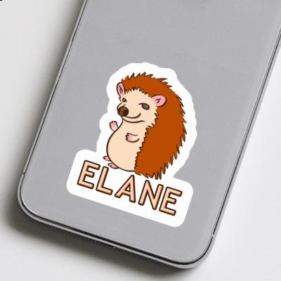 Sticker Elane Hedgehog Laptop Image