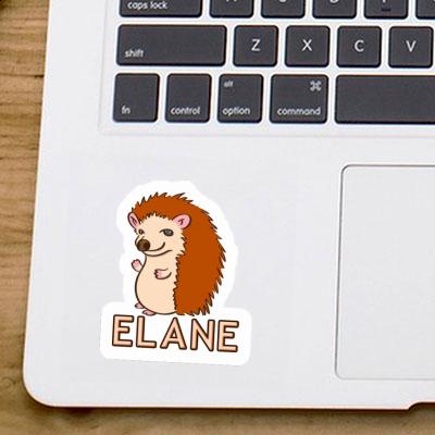 Sticker Elane Hedgehog Laptop Image