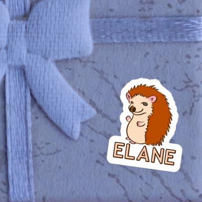 Sticker Elane Hedgehog Gift package Image