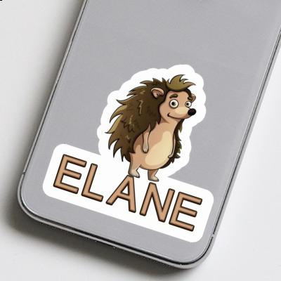 Elane Autocollant Hérisson Gift package Image