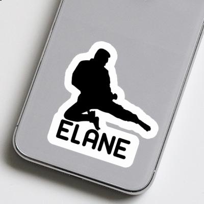 Sticker Elane Karateka Gift package Image