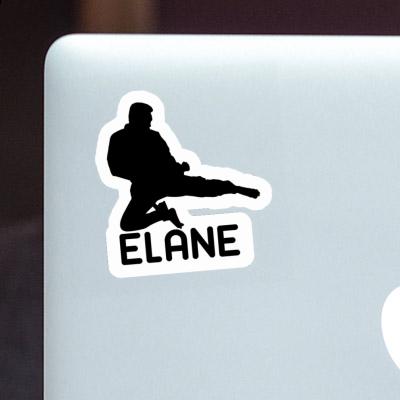 Sticker Karateka Elane Gift package Image