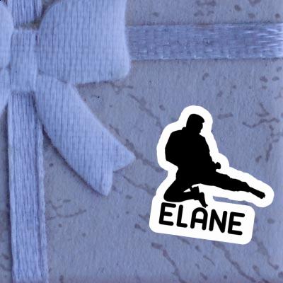 Sticker Elane Karateka Image