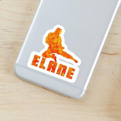 Sticker Elane Karateka Gift package Image