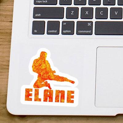 Sticker Karateka Elane Gift package Image