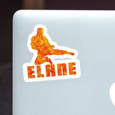 Sticker Karateka Elane Gift package Image