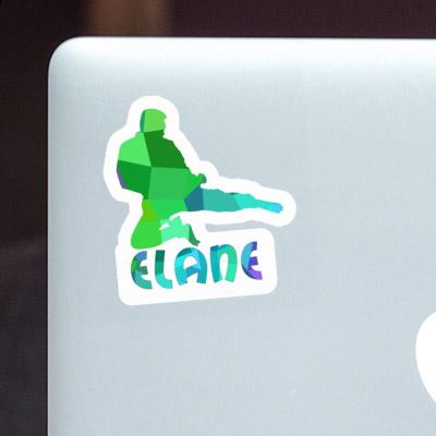 Elane Sticker Karateka Laptop Image