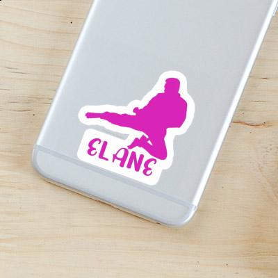 Elane Sticker Karateka Notebook Image