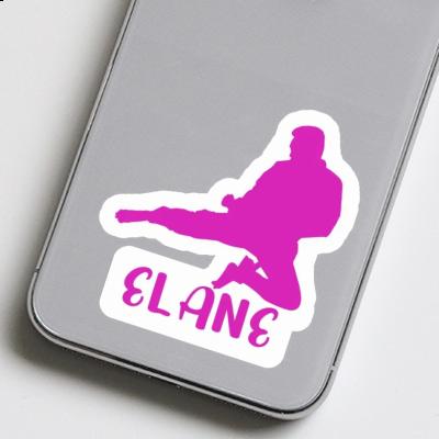 Karateka Sticker Elane Image