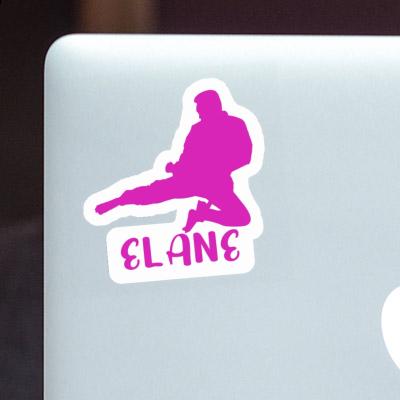 Elane Sticker Karateka Image