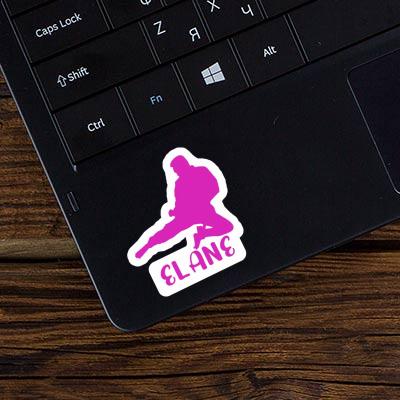 Karateka Sticker Elane Laptop Image