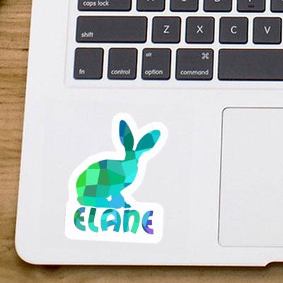 Lapin Autocollant Elane Gift package Image