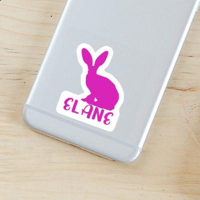 Sticker Elane Rabbit Notebook Image