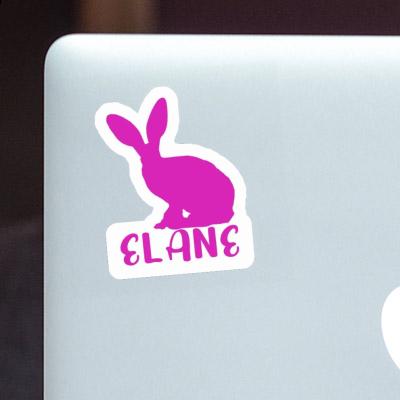 Sticker Elane Rabbit Gift package Image