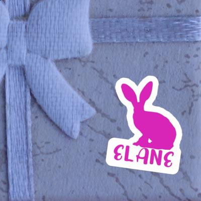 Autocollant Elane Lapin Gift package Image