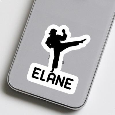 Karateka Sticker Elane Laptop Image