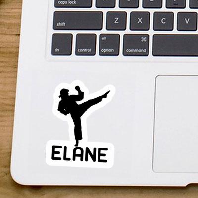 Elane Sticker Karateka Notebook Image