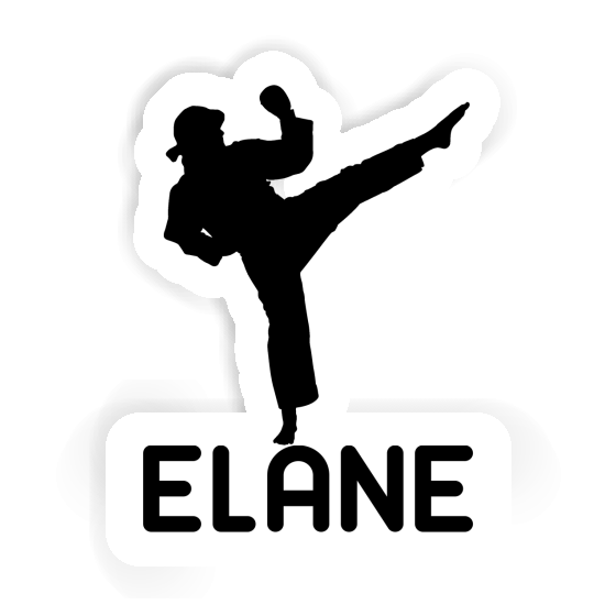 Karateka Sticker Elane Gift package Image