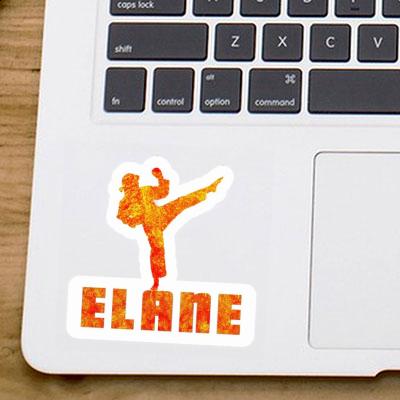 Elane Sticker Karateka Laptop Image