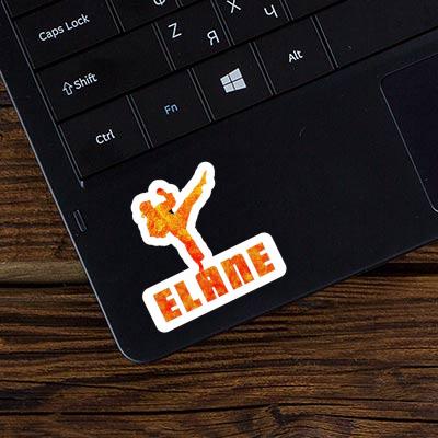 Elane Sticker Karateka Image