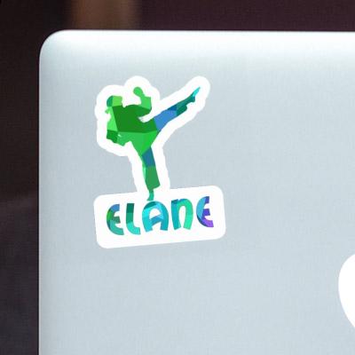 Sticker Karateka Elane Image