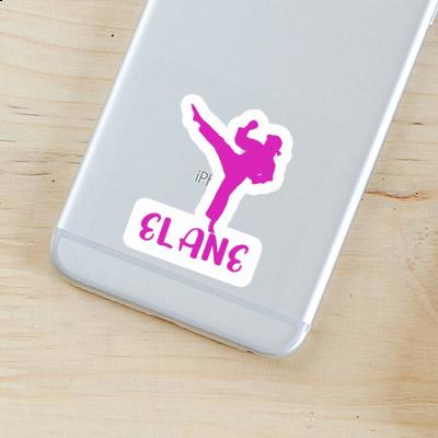 Elane Sticker Karateka Notebook Image