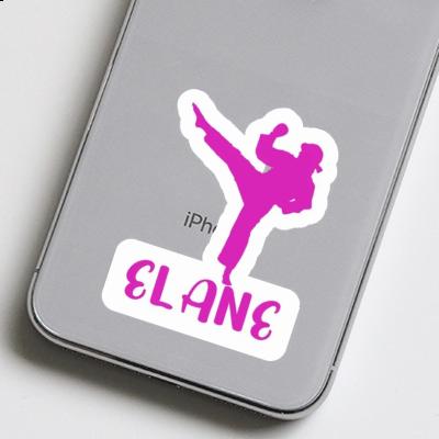 Elane Sticker Karateka Gift package Image