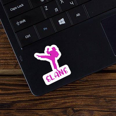 Elane Sticker Karateka Laptop Image