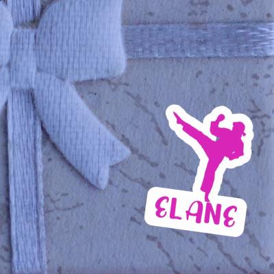 Elane Sticker Karateka Image