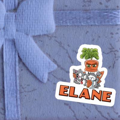 Elane Sticker Monster-Möhre Gift package Image