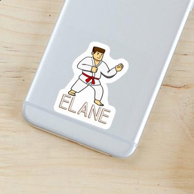 Sticker Karateka Elane Gift package Image