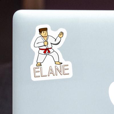 Sticker Karateka Elane Gift package Image