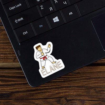 Sticker Karateka Elane Laptop Image